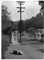 Bernard Street looking toward Throckmorton and Miller Avenues, circa 1955