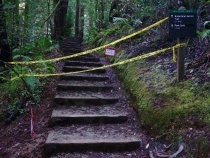Muir Woods Hillside Trail closure, north end, 2019