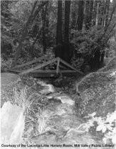 Bridge in Cascade Park, circa 1965