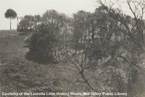 Fire damage on Middle Ridge, circa 1929