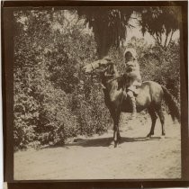 Eleanor "Dolly" Cushing with her dog "cruzie" and pony "Jolly" circa 1895 Eleanor "Dolly" Cushing with her dog "Cruzie", 1895 Eleanor "Dolly" Cushing, circa 1892 Eleanor "Dolly" Cushing, age 18 months, 1890 Eleanor "Dolly" Cushing, age 18 mon