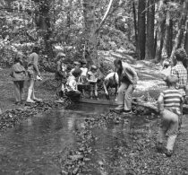 Library Boat Race on Old Mill Creek, 1973