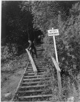 Public stairway off Miller Avenue, date unknown