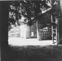 Marin Municipal Water District, Mill Valley office shed, circa 1965