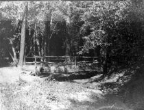 Fallen Tree Bridge cut away for water flow in Old Mill Park, date unknown