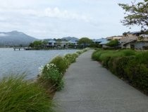 Pedestrian path along Richardson Bay, 2016