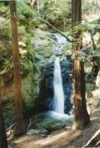 View of Cascade Falls in Mill Valley, 1/23/2002