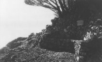 Dad O'Rourke Bench from a distance, 1976