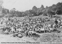 Meeting of the Mount Tamalpais Conservation Club, 1929