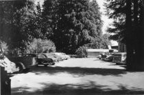 Photograph of downtown midtown Mill Valley, 1952