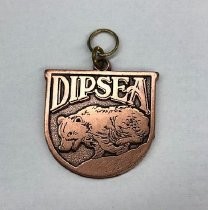 Metal Dipsea Race tag