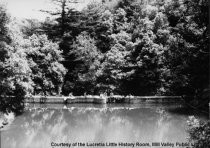 Swimmers on Cascade Dam, 1969