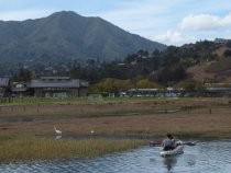 Pickleweed Inlet kayakers and waterfowl, 2018