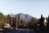 Miller Ave. looking toward Mt. Tamalpais, 1994