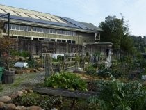 Mill Valley Community Garden, 2017