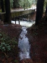 Old Mill Creek pedestrian bridge, 2017