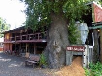 Mill Valley Lumber Yard, 2016