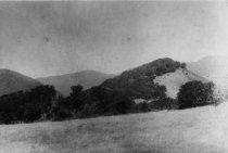 Hill above Cornelia and Lovell Avenue circa 1889