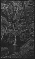 Cataract Gulch - falls, circa 1919