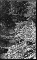 Water fountain in back of Russell & Gooch Mortuary, date unknown