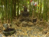 Madrona Steps Buddha and fountain, 2018