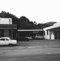 Miller Avenue Locust Area, 1970