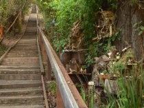 Bernard Steps looking up, 2018