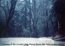 Flood of January 4, 1982 at West Blithedale Avenue and Ralston