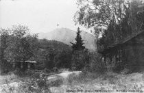 West Blithedale Avenue, date unknown