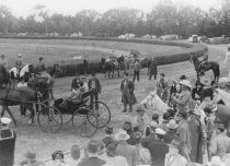 Horse show or horse race in outdoor arena, unknown