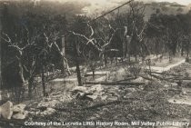 Fire damage on Middle Ridge, circa 1929