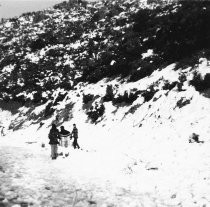 Snow on Mt. Tamalpais, 1973