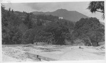 View towards Mount Tamalpais on West Blithdale Avenue, circa 1912