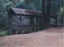 Color photo of the Mill Valley Old Mill in Old Mill Park, date unknown