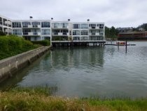 Shelter Bay condominiums looking east, 2016