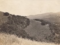 Mill Valley, circa 1915?