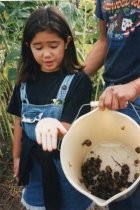 Mill Valley Children's Garden showing local "Escargot", 1990-1994