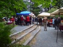 Friends of the Library party viewed from edge of park, 2019