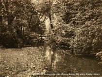 Creek with bridge in background, date unknown