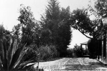 Road in front of Blithedale Hotel, date unknown