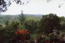 A view of forest surrounding Druid Heights, date unknown