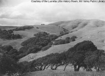 Little Reed Ranch in Tiburon, circa 1905