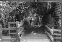 Walkway from Sycamore to Walnut to Locust, date unknown