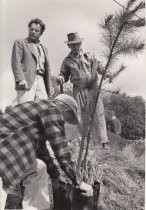 Herman Hein, landscape gardener, date unknown