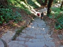 Dipsea Trail stairway, 2013