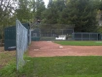 Boyle Park baseball diamond, 2016