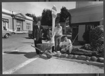 Landscaping work on Throckmorton Avenue, circa 1960s