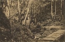 Man and dog by Cascades area, Mill Valley