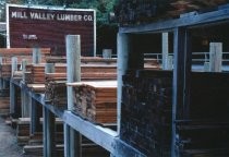 Stacked wood at Mill Valley Lumber Company, date unknown