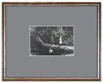 Photo of John Muir and William Newton family presumably in Muir Woods